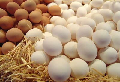 Russia received two more batches of Azerbaijani eggs