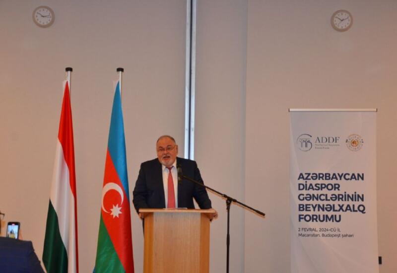 Посол Азербайджана в Венгрии призвал диаспорскую молодежь к активному участию в президентских выборах