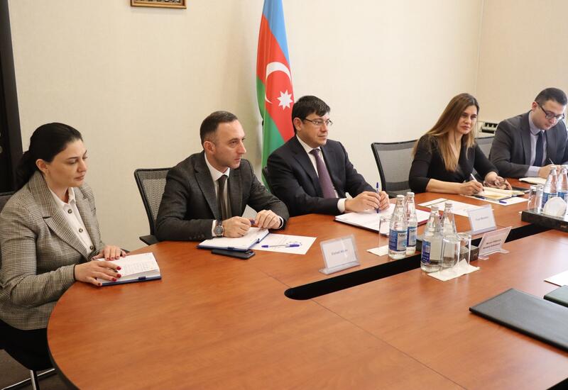 Посол Мексики в Азербайджане побывала в Госкомитете по работе с диаспорой