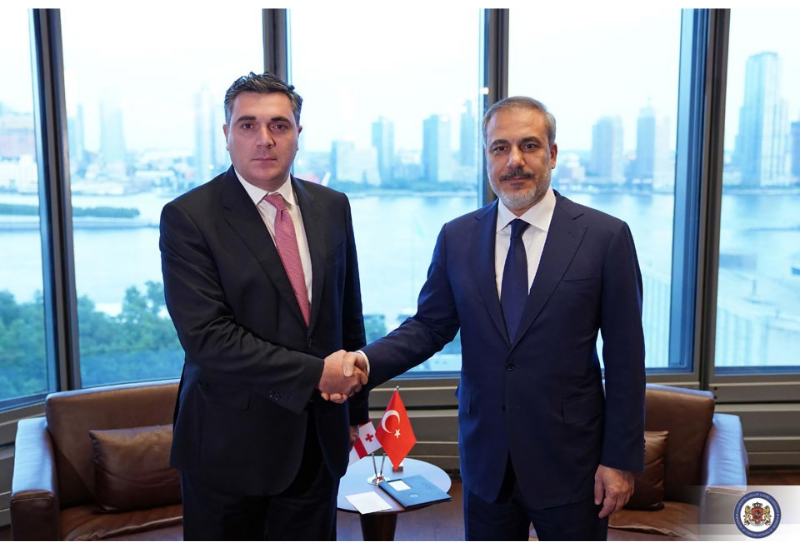 Главы МИД Турции и Грузии обсудили Южный Кавказ