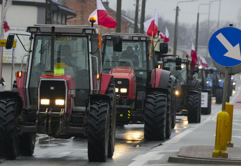 Польские фермеры требуют от властей страны полностью отказаться от "Зеленого курса" ЕС