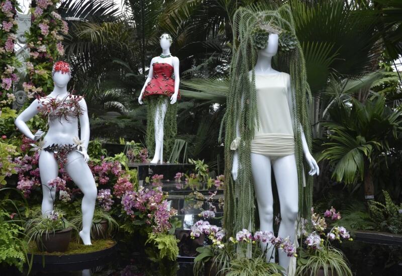 Выставка «Шоу орхидей: цветы в моде» открылась в зимнем саду Нью-Йоркского ботанического сада