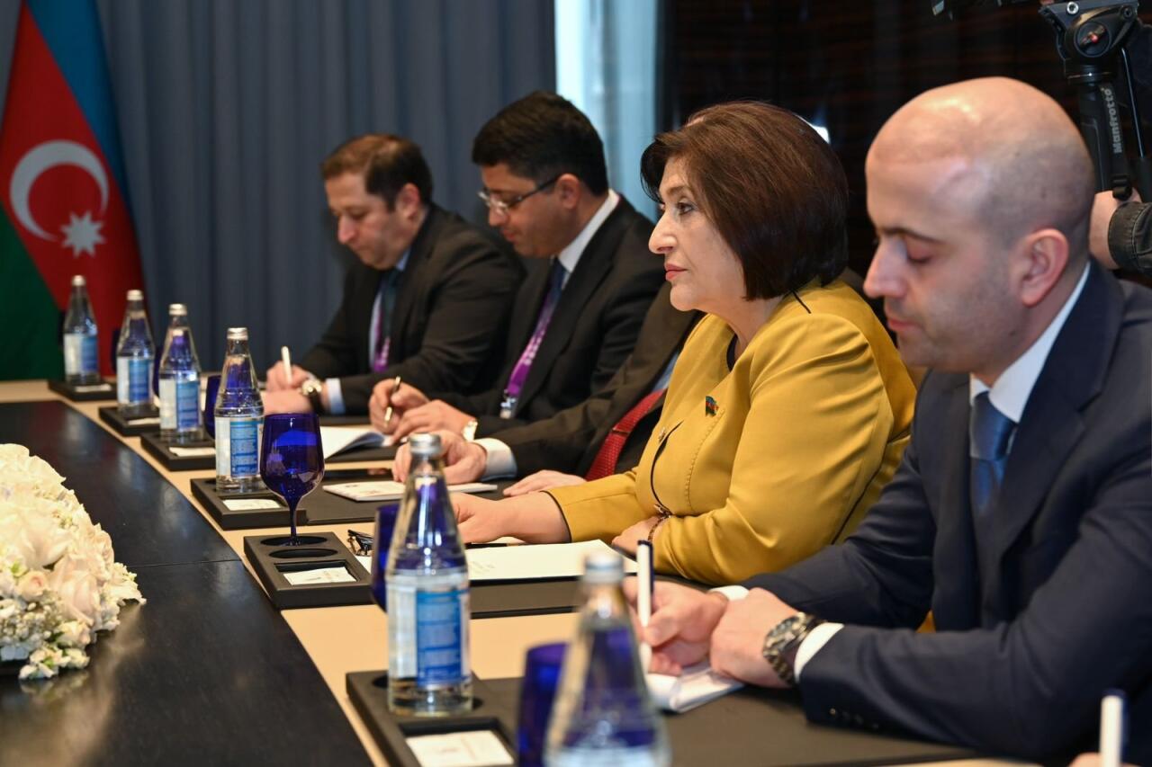 Сахиба Гафарова провела обсуждения с председателем ВНСТ