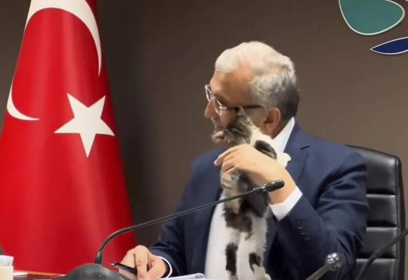 Котенок залез на турецкого политика на совещании