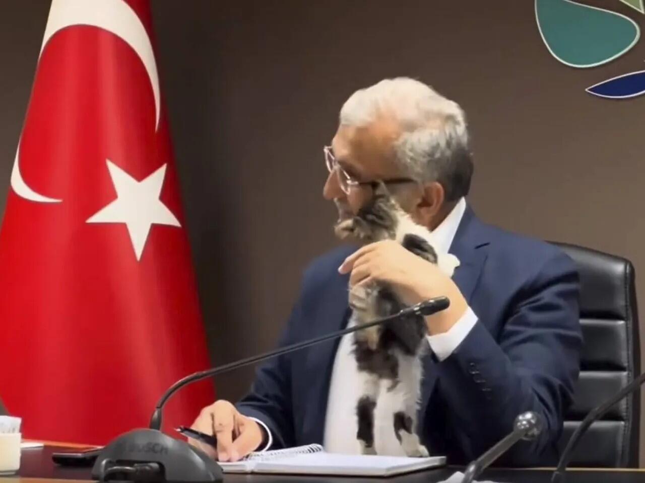 Котенок залез на турецкого политика на совещании