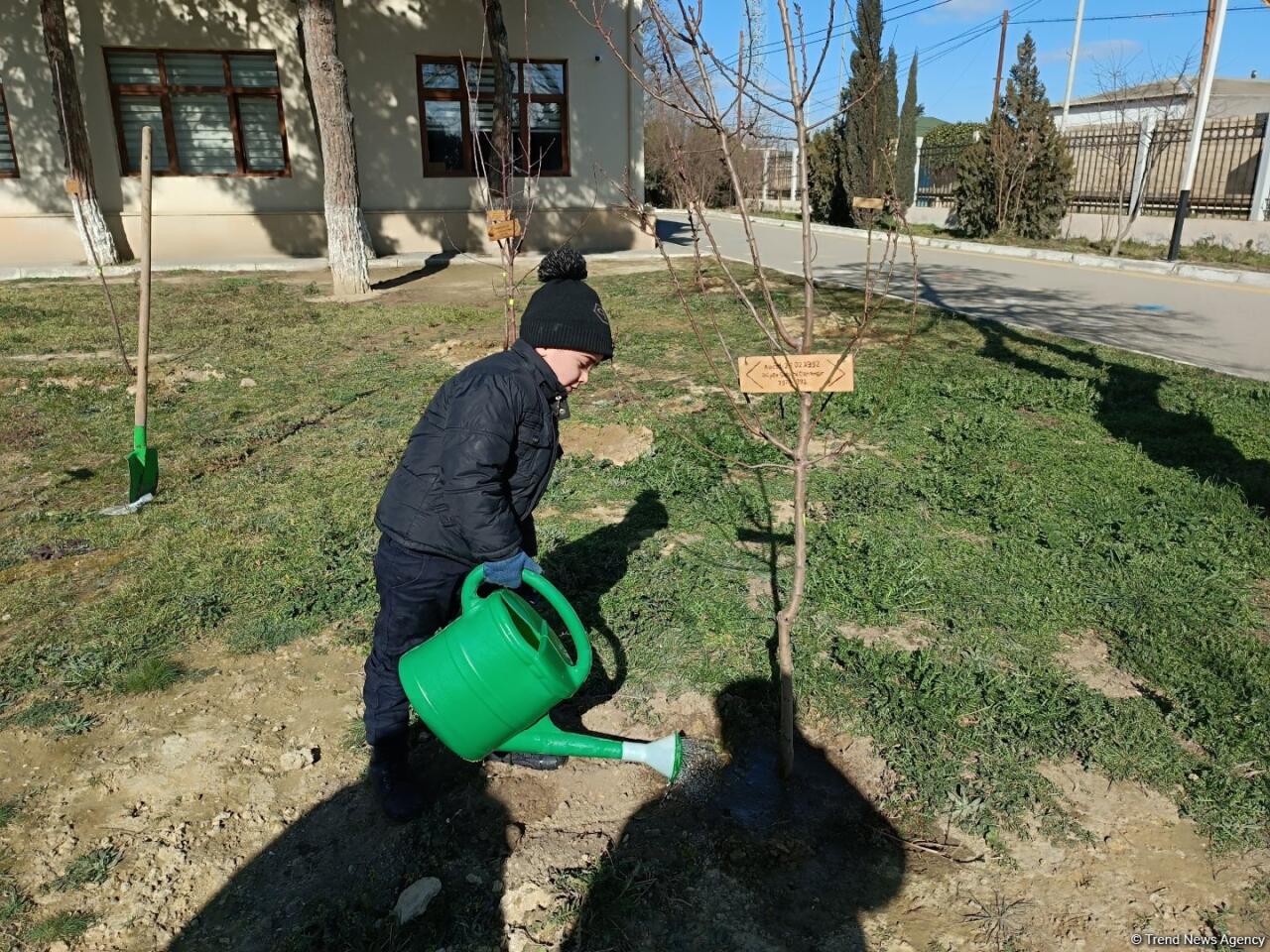 Фонд Университета ADA посадил 63 фруктовых дерева, чтобы увековечить память 63 детей-жертв Ходжалинского геноцида