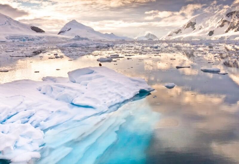 Площадь морского льда вокруг Антарктиды сократилась до минимальных значений
