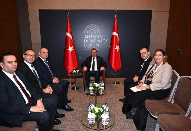 Вице-президент Турции принял делегацию ПЕА