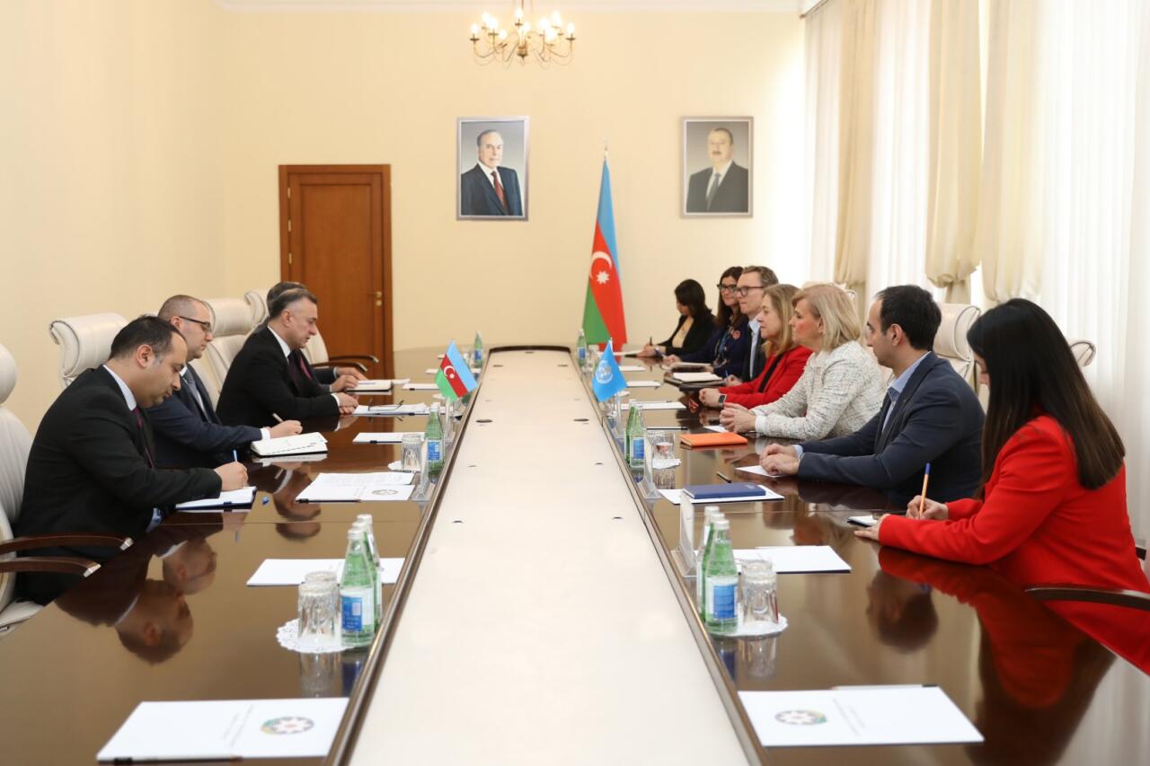 Теймур Мусаев на встрече с должностными лицами ВОЗ, входящими в переговорную группу COP29