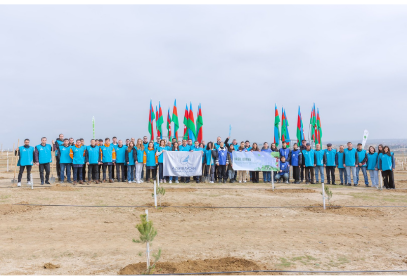 Сотрудники AZAL посадили более 600 деревьев в рамках «Года солидарности во имя зеленого мира»