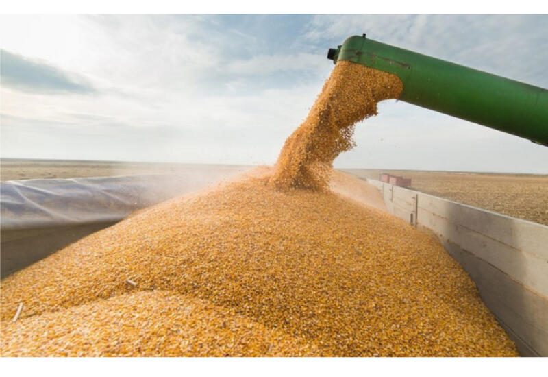 Главы МИД стран ЕС обсудят запрет на импорт зерна из России