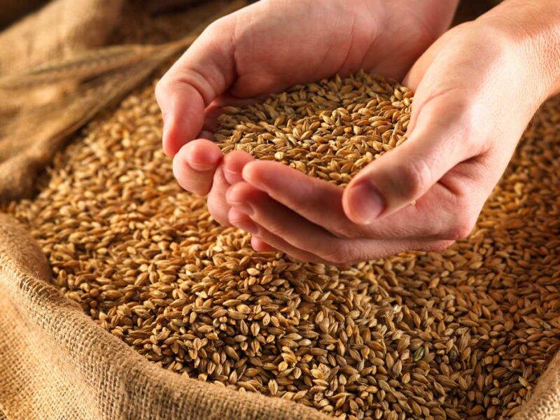 В ЕС назвали размер нового тарифа на зерно из России и Беларуси