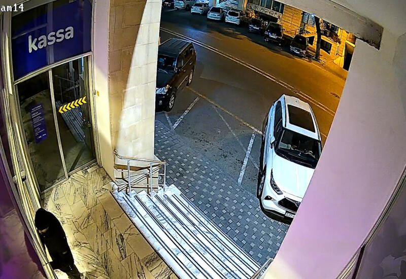 В Баку пресечена попытка ограбления банка