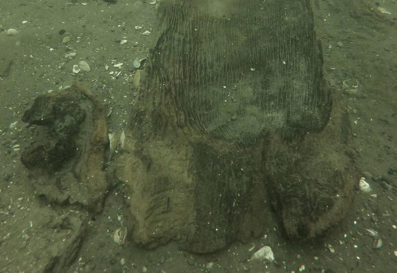 Археологи нашли на дне Средиземного моря древнейшие каноэ