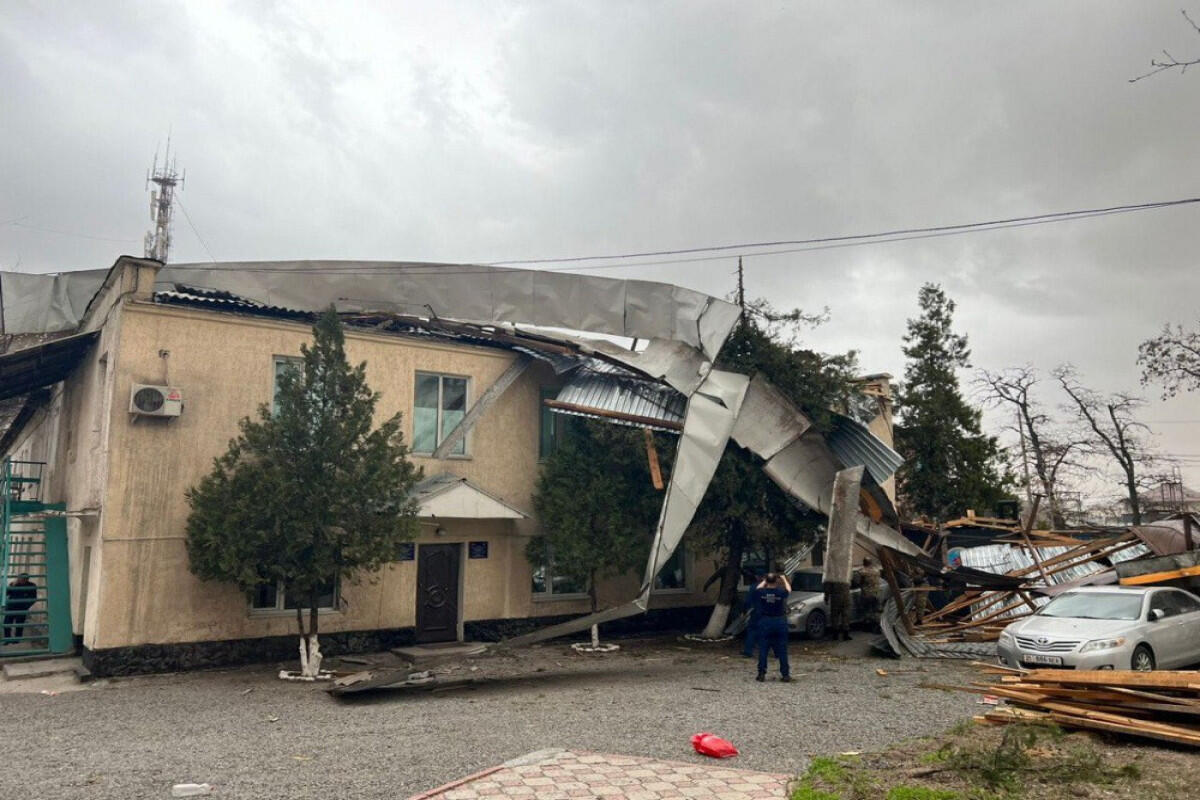 Неблагоприятные последствия сильного ветра в Бишкеке