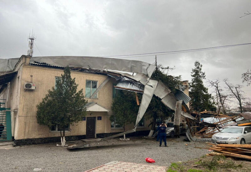 Неблагоприятные последствия сильного ветра в Бишкеке