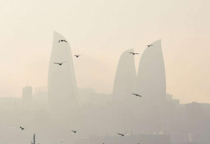 Что привело к пыльной погоде в Баку?