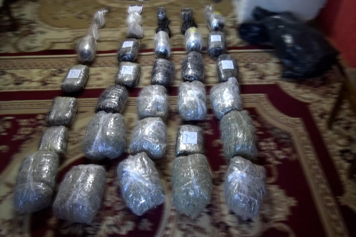 Операция МВД: обнаружено 50 кг наркотиков