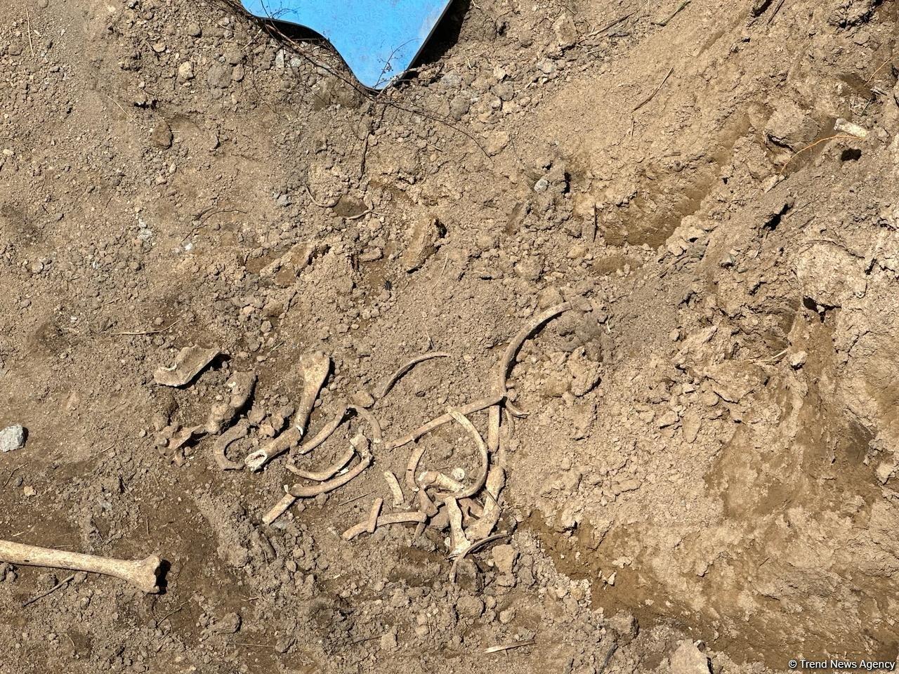 Кадры с места обнаружения человеческих останков в Ходжалы