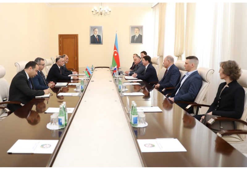 В минздраве Азербайджана состоялась встреча с делегацией во главе с зампредом Комитета по здравоохранению Санкт-Петербурга