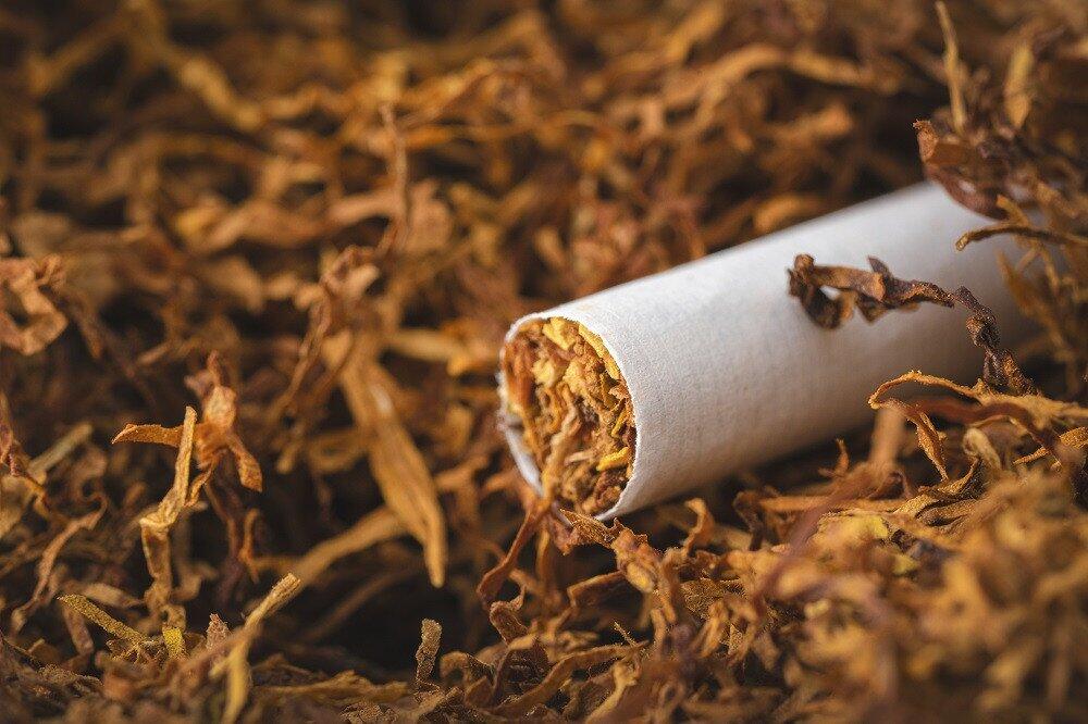 В Азербайджане за производство табачных изделий без регистрации устанавливается штраф