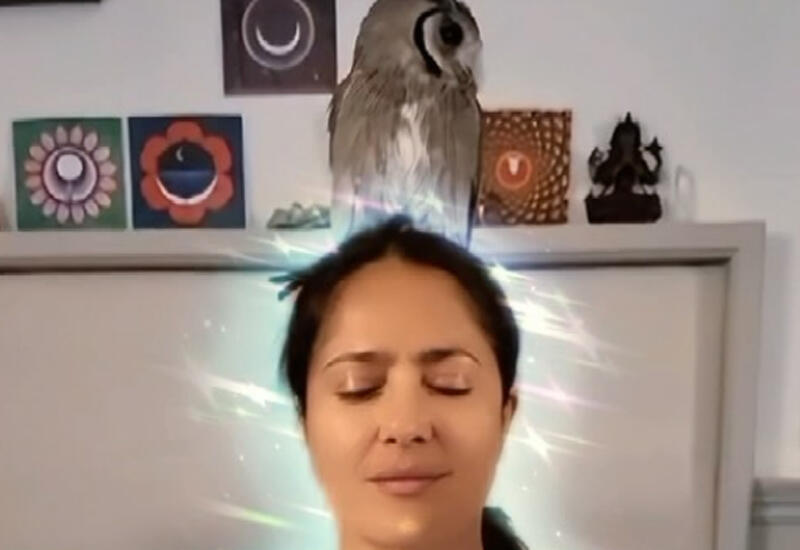 Сальма Хайек показала, как медитирует с совой на голове