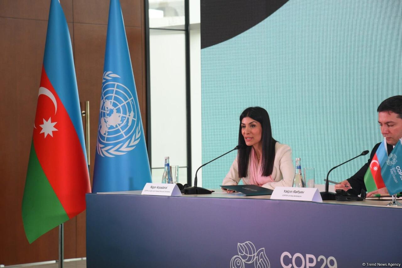 В Баку состоялась пресс-конференция по COP29