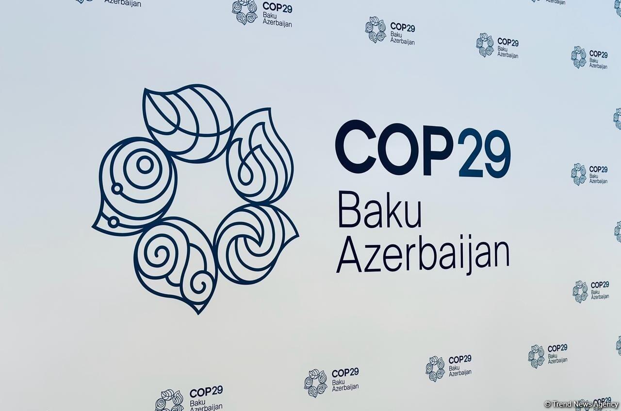 Представлен логотип COP29