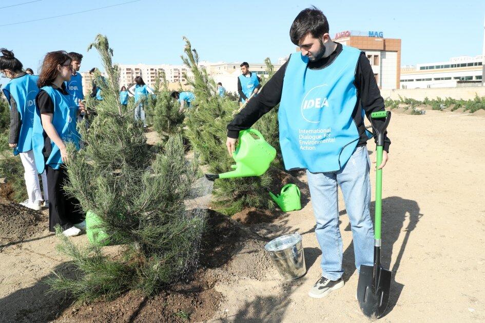 В Низаминском районе Баку с участием вице-президента Фонда Гейдара Алиева Лейлы Алиевой прошла акция по посадке деревьев