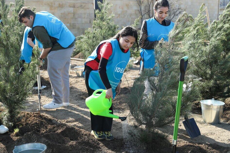 В Низаминском районе Баку с участием вице-президента Фонда Гейдара Алиева Лейлы Алиевой прошла акция по посадке деревьев