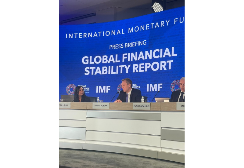 МВФ предоставляет подробные рекомендации странам Кавказа и Центральной Азии по решению финансовых проблем