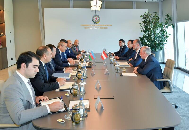 Азербайджан и Австрия обсудили возможности реализации совместных промышленных проектов