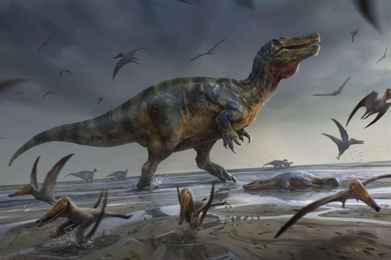 Палеонтологи выяснили, почему динозавры доминировали на Земле миллионы лет