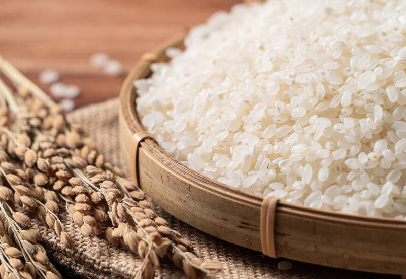 Ученые превратили рисовые отруби в эффективный препарат для борьбы с раком