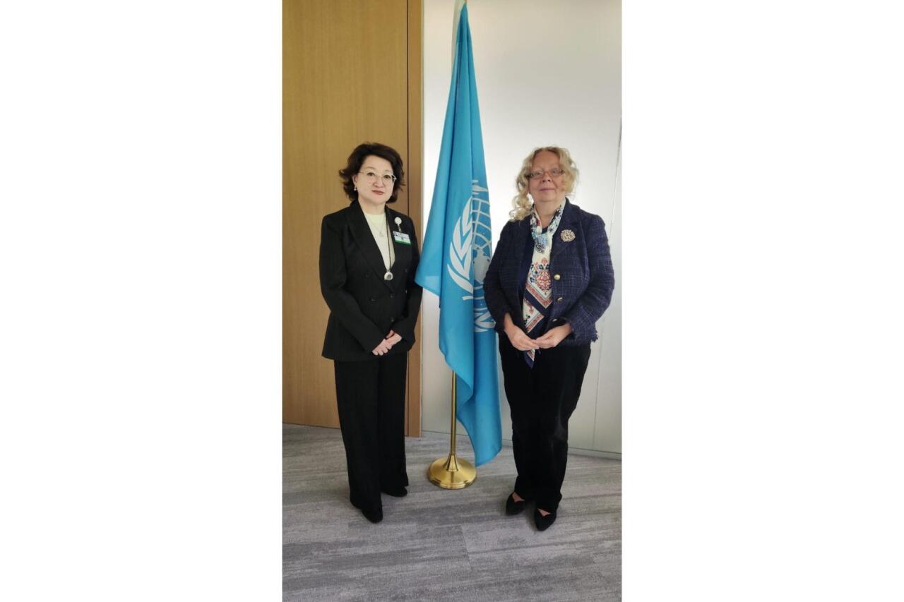 Президент Фонда тюркской культуры встретилась с послом ООН
