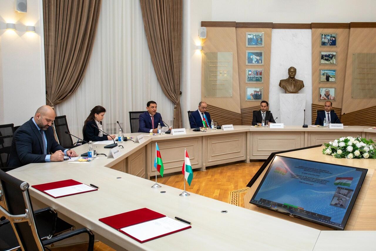 Названы главные темы прошедшего в Баку заседания рабочей группы Азербайджана и Венгрии по энергетике