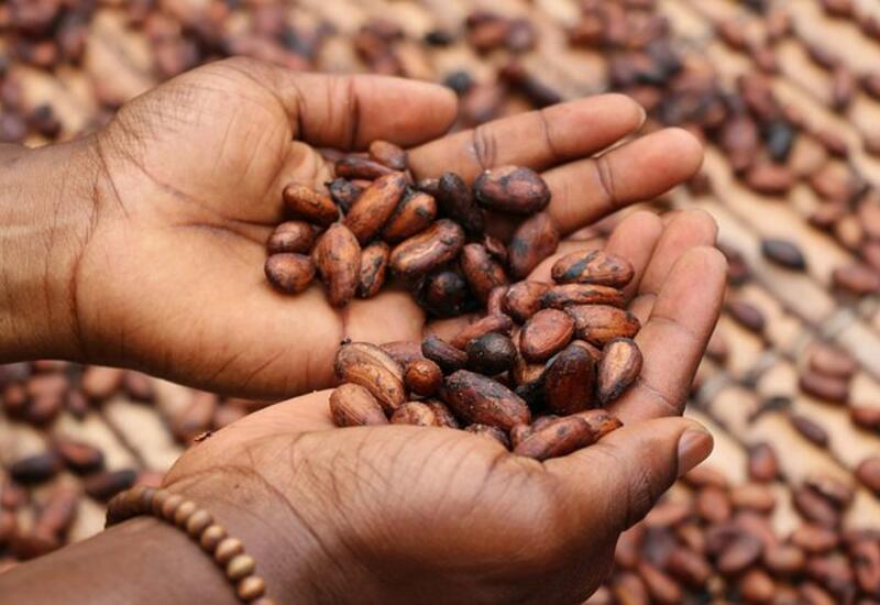 Колебания цен на какао оказались рекордными