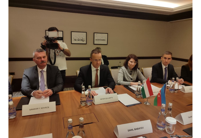 Азербайджан и Венгрия являются друзьями и стратегическими партнерами