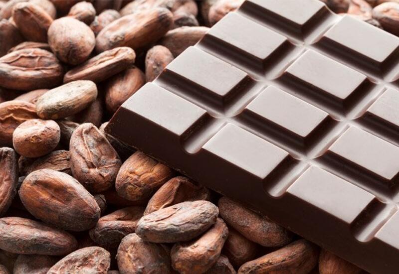 Раскрыта угроза мировым запасам шоколада