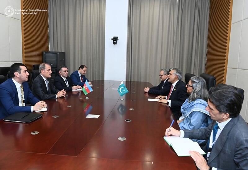 СОР29 создаст дополнительные возможности для азербайджано-пакистанского партнерства