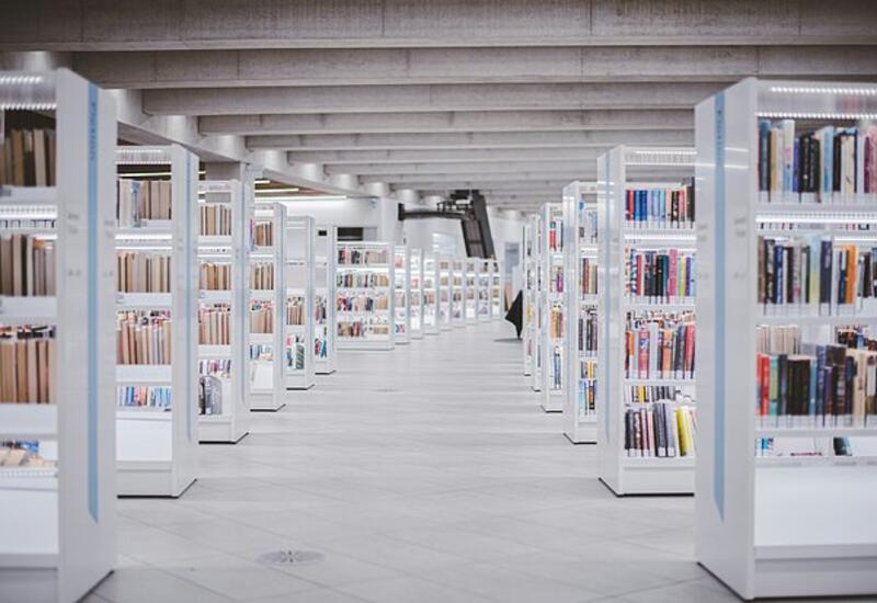 Из европейских библиотек изъяли тысячи пропитанных мышьяком книг