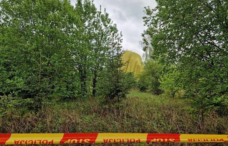 В Литве упал воздушный шар с пассажирами