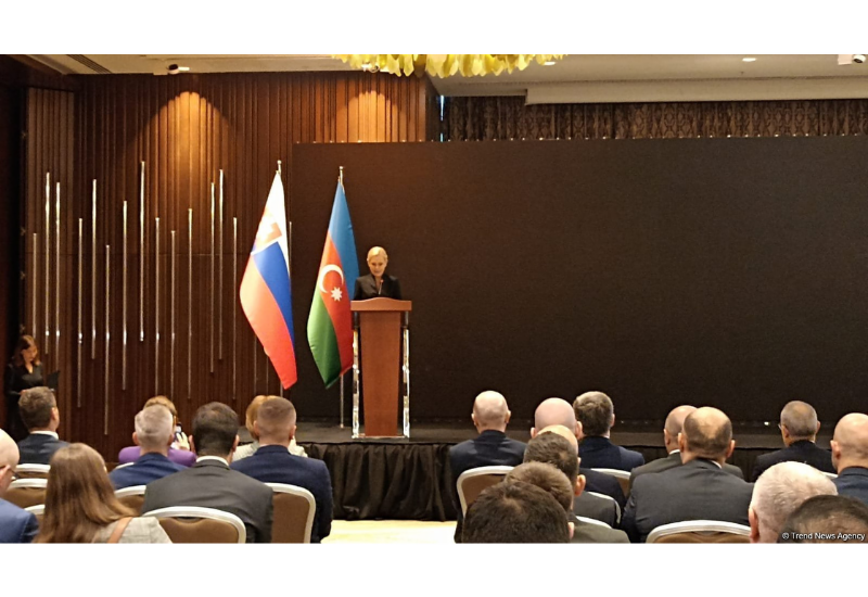 Азербайджан играет стратегическую роль как важный партнер Словакии
