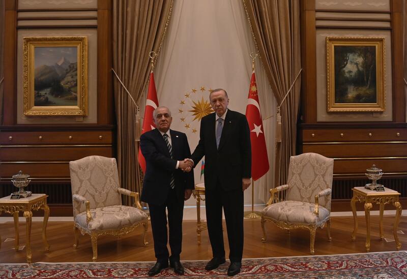 Али Асадов встретился с Президентом Турции Реджепом Тайипом Эрдоганом