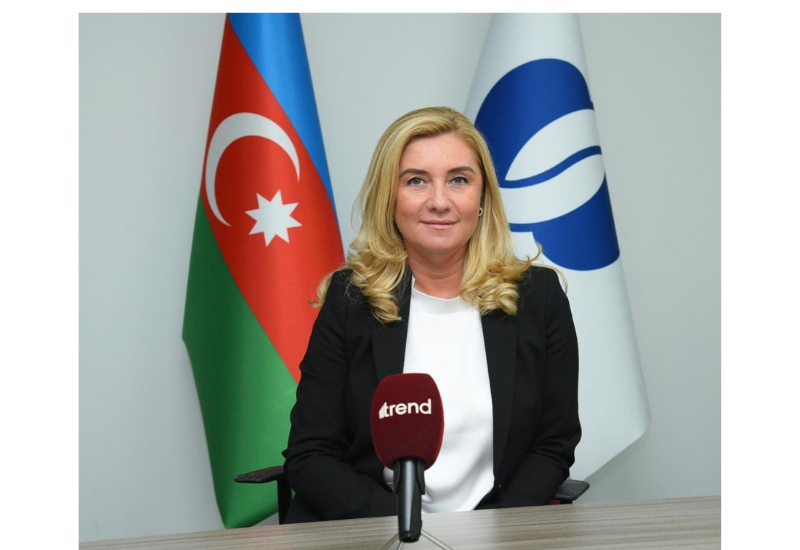 ЕБРР планирует наращивать инвестиции в Азербайджан