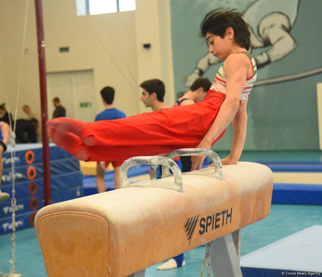 Стартовали соревнования открытого чемпионата и открытого первенства Баку по спортивной гимнастике