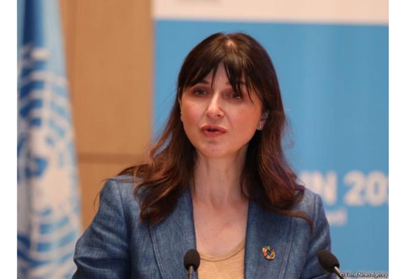 ООН поддержит Азербайджан в успешном проведении COP29