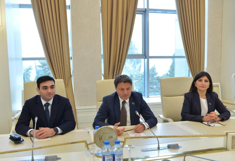 В Милли Меджлисе Азербайджана состоялась встреча с депутатом Европарламента