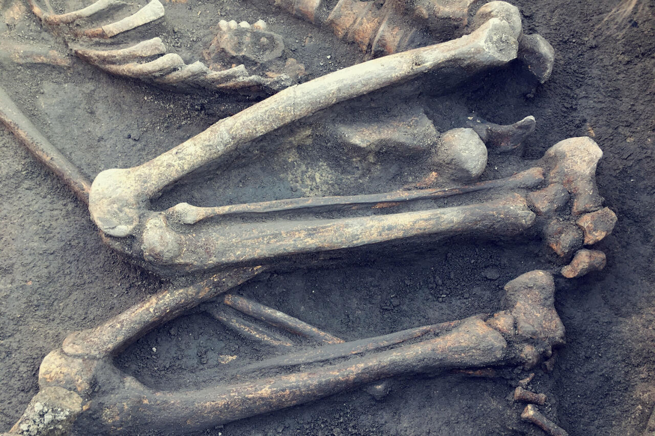 Археологи обнаружили войско скелетов медного века