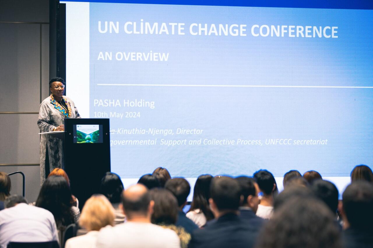 Представительство ООН в Азербайджане и PASHA Holding провели мероприятие в рамках программы "29 бесед о климате: путь к COP29"